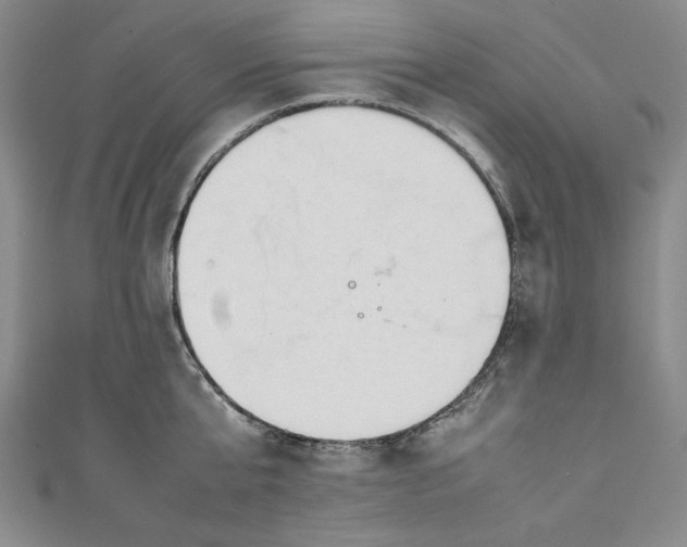 X0000111450807200907271229