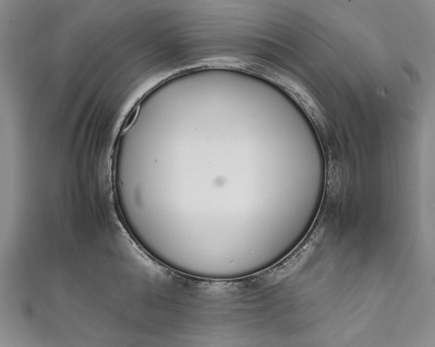 X0000111450808200907271229