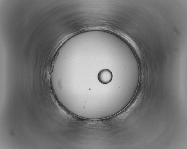 X0000111450809200907271229