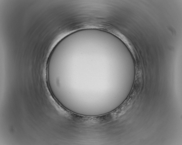 X0000111450811200907271229