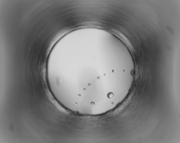 X0000111450812200907271229