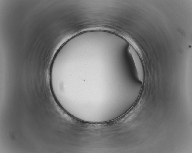 X0000111450813200907271229