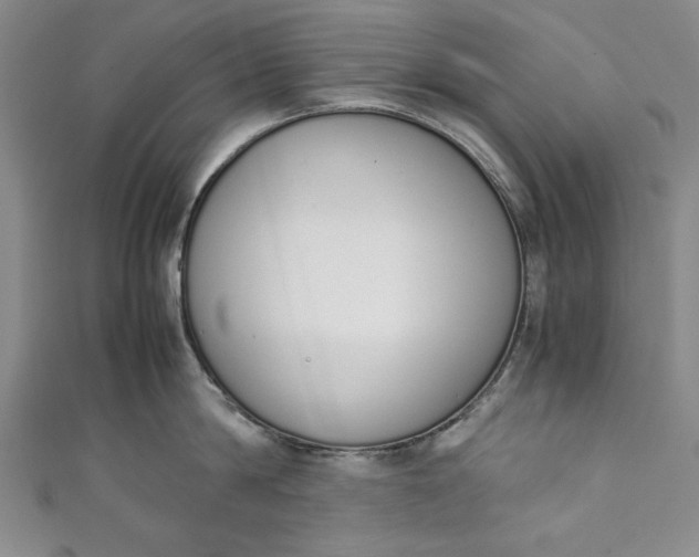X0000111450814200907271229