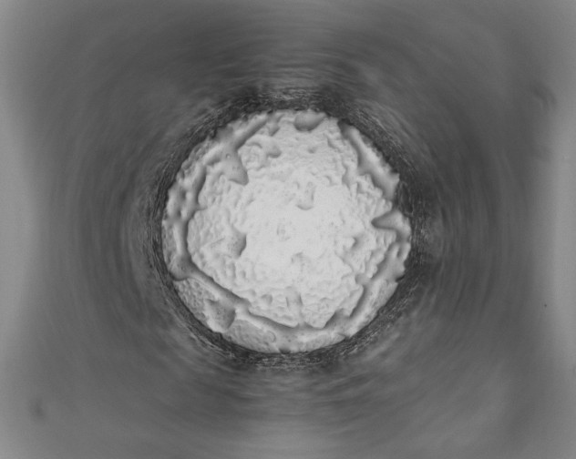 X0000111450817200907271228