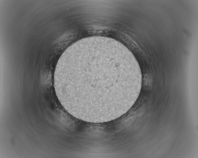 X0000111450820200907271228