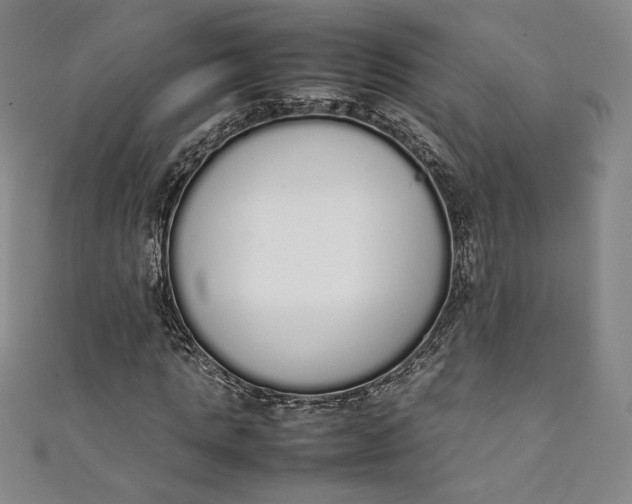 X0000111450821200907271229