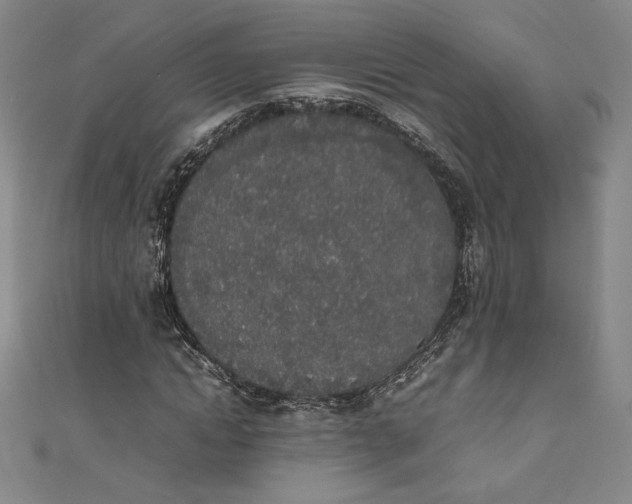 X0000111450822200907271229