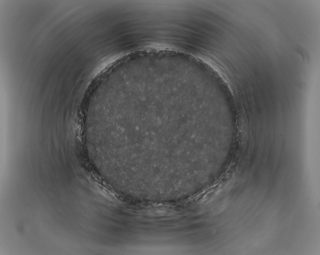 X0000111450823200907271229