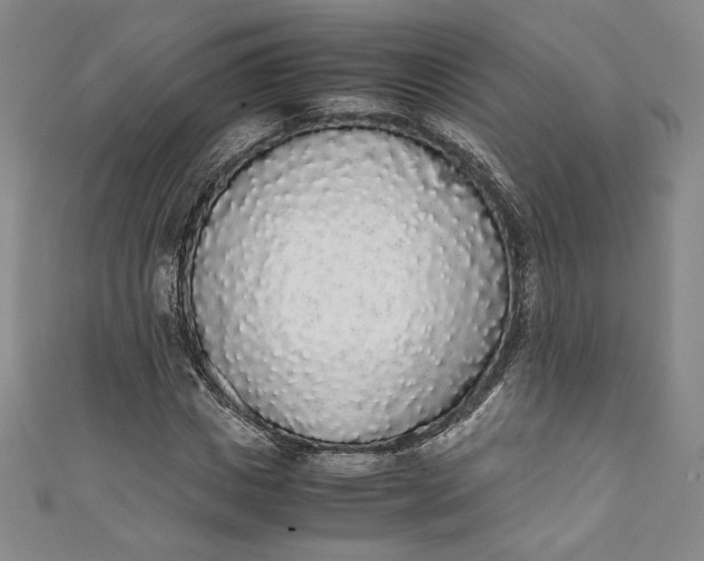 X0000111450825200907271229