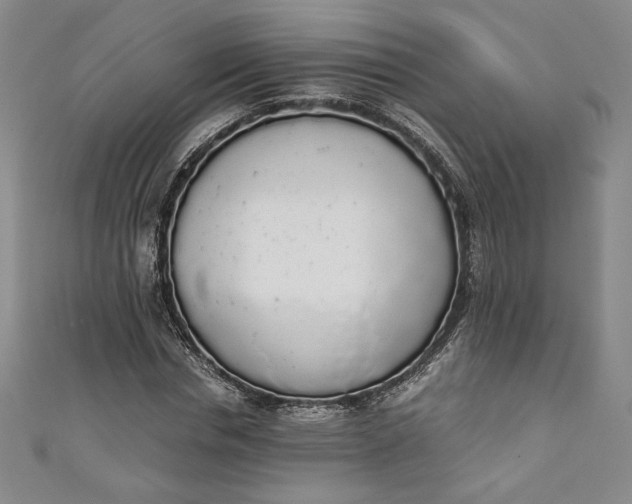 X0000111450826200907271229