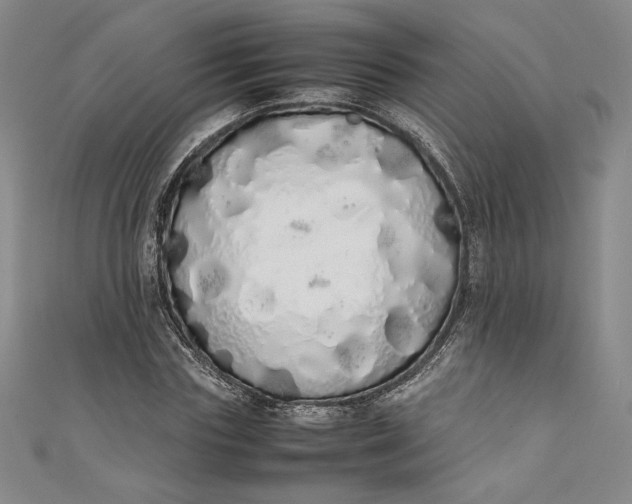 X0000111450827200907271229