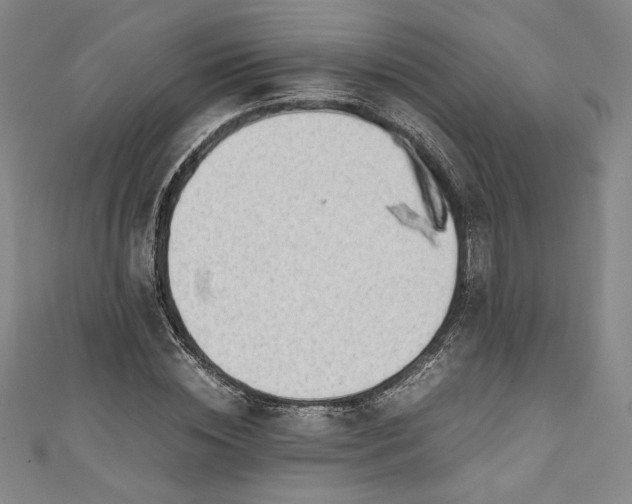 X0000111450828200907271229