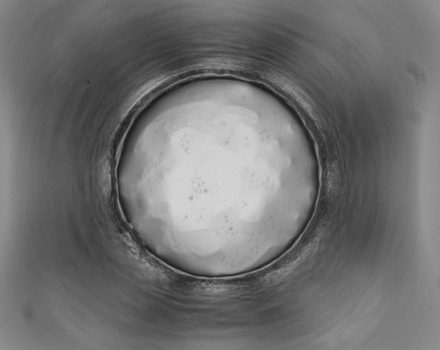 X0000111450829200907271229
