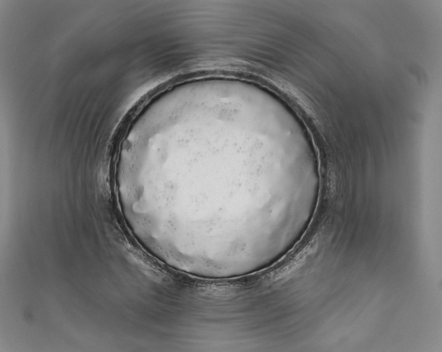 X0000111450830200907271229