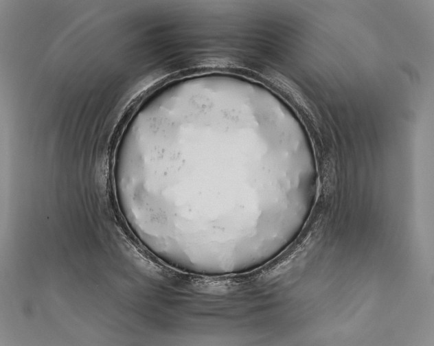 X0000111450831200907271229