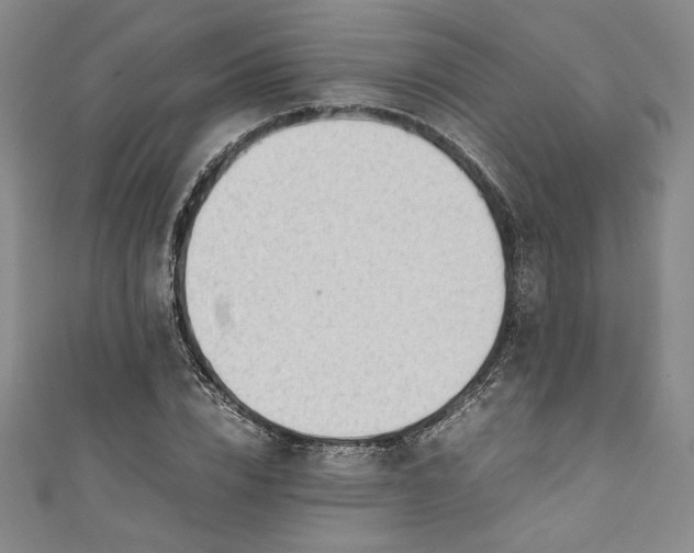 X0000111450832200907271229