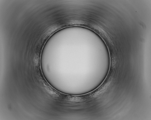 X0000111450833200907271229