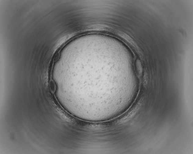 X0000111450834200907271229