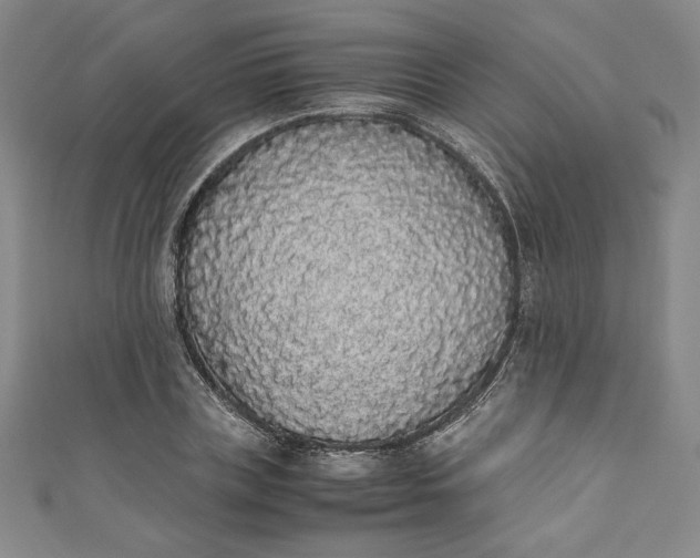 X0000111450835200907271229