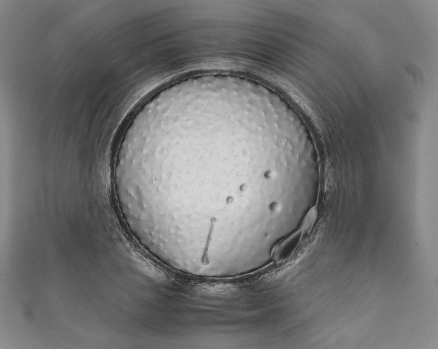 X0000111450837200907271229
