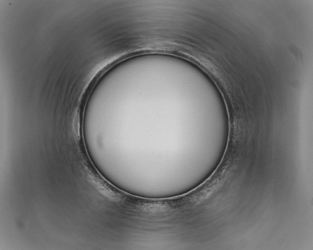X0000111450838200907271229