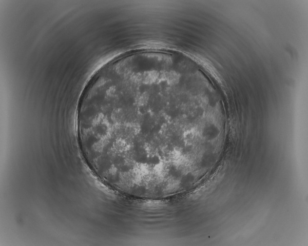 X0000111450839200907271229