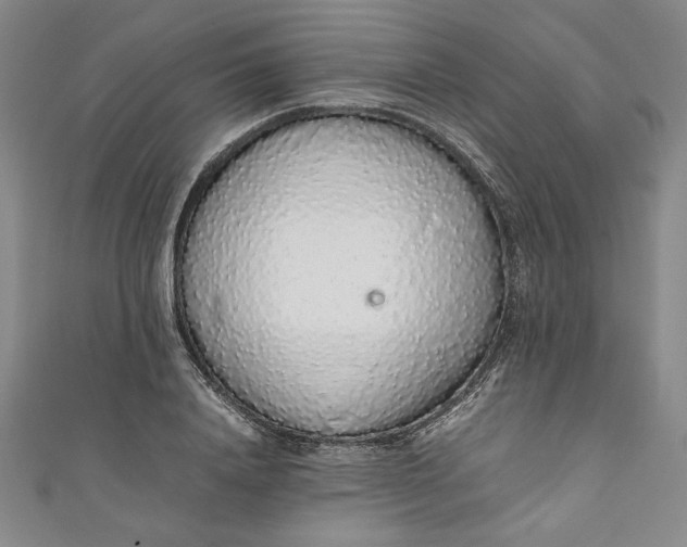 X0000111450840200907271229