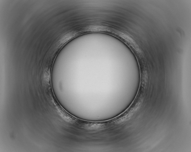 X0000111450841200907271229