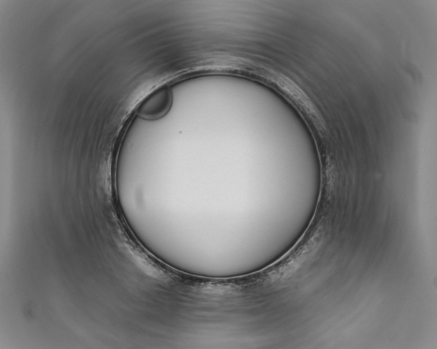 X0000111450842200907271229