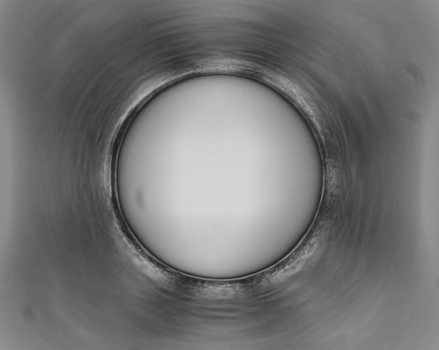 X0000111450843200907271229
