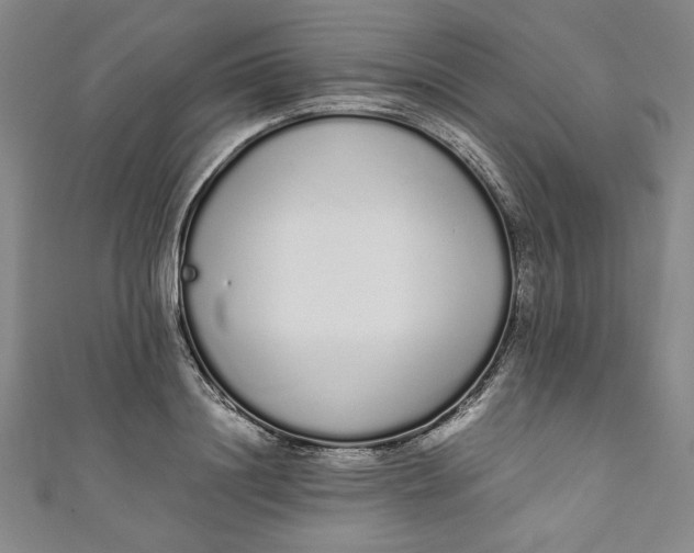 X0000111450844200907271229