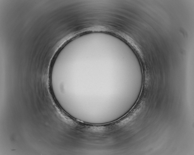 X0000111450845200907271229