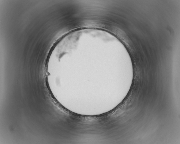 X0000111450848200907271229