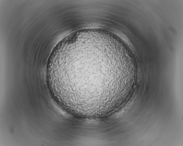 X0000111450850200907271229