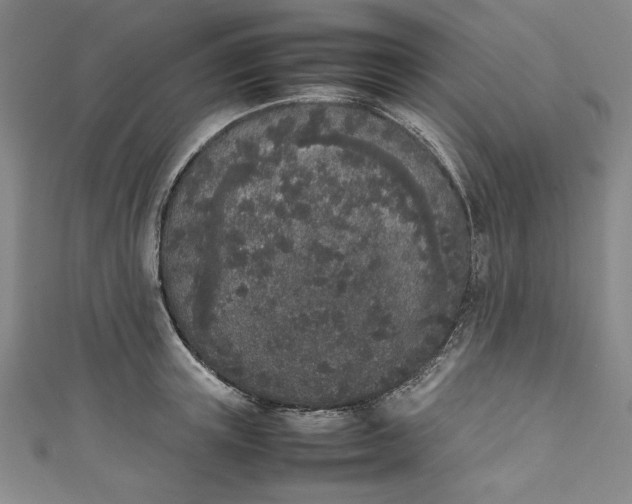 X0000111450851200907271229