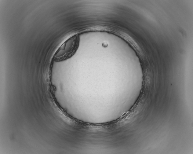 X0000111450852200907271229