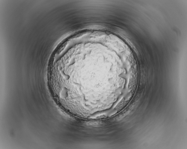 X0000111450853200907271229
