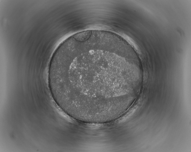 X0000111450854200907271229