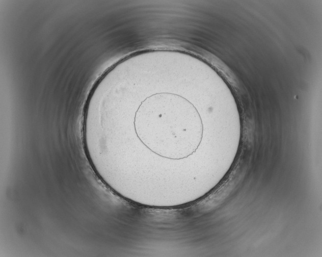 X0000111450856200907271229