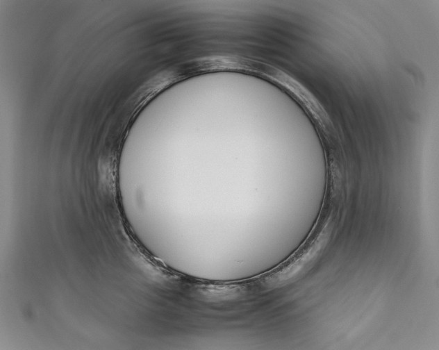 X0000111450857200907271229