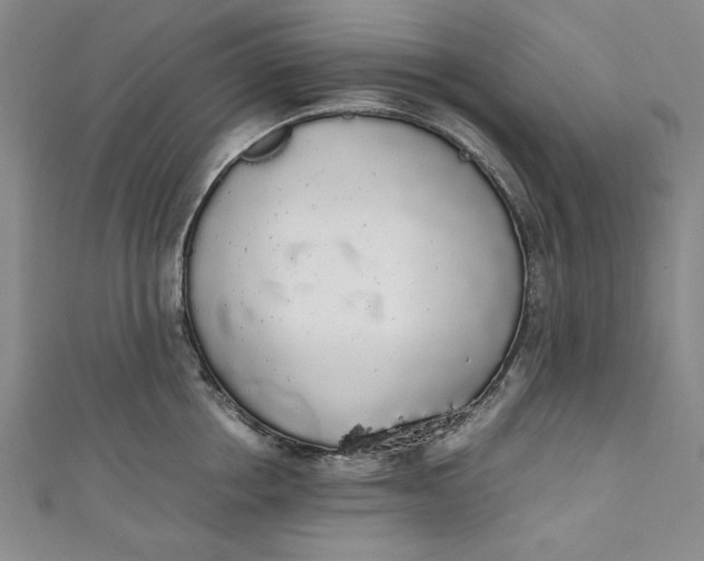 X0000111450858200907271229