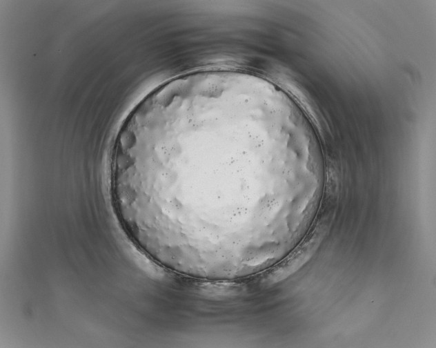 X0000111450859200907271229