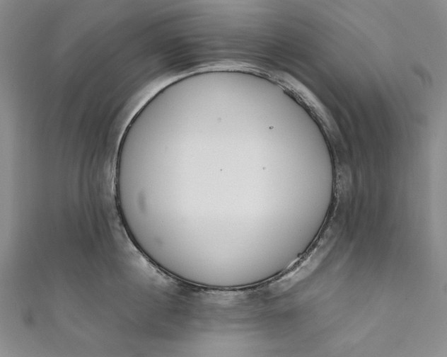 X0000111450860200907271229