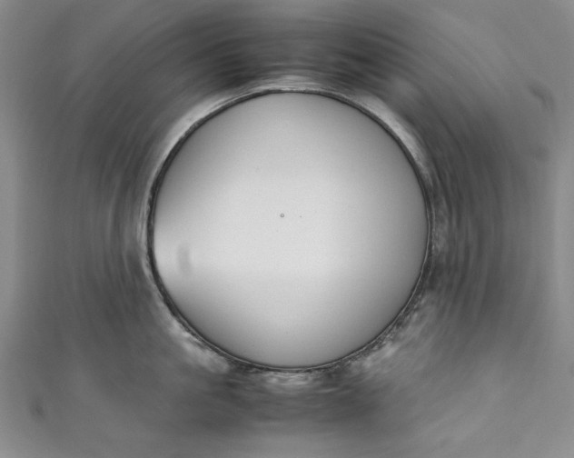 X0000111450861200907271229