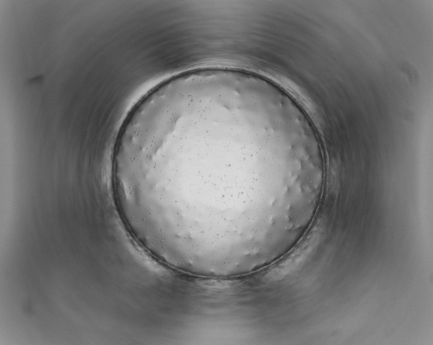 X0000111450862200907271229