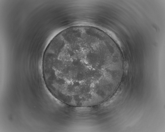 X0000111450863200907271229