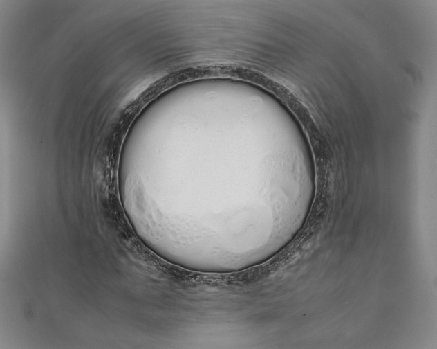 X0000111450871200907271228
