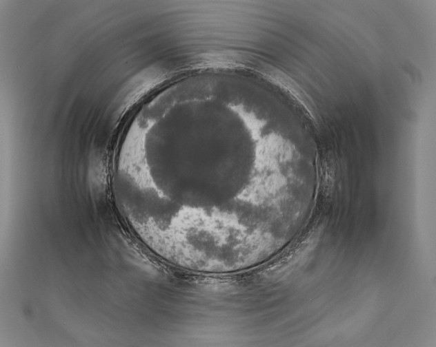 X0000111450874200907271228
