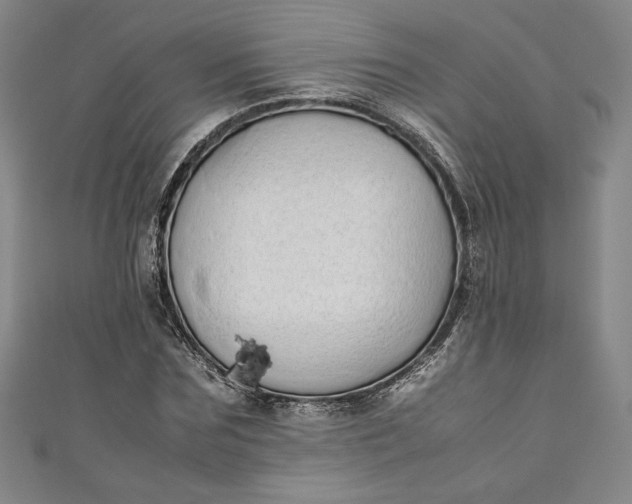 X0000111450875200907271228