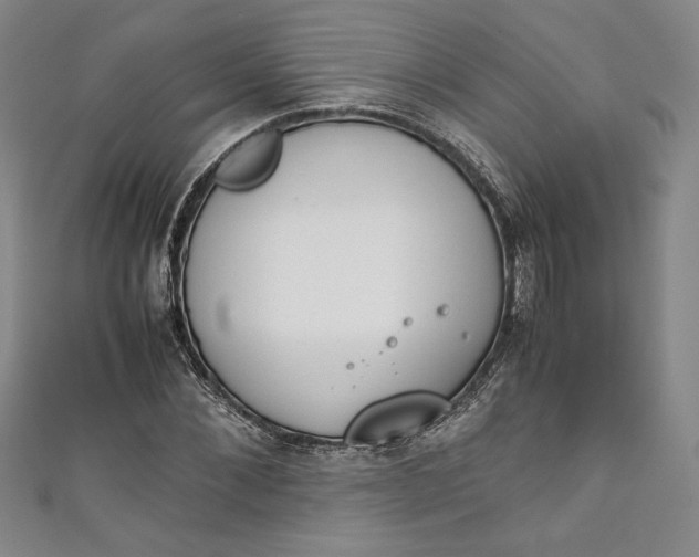 X0000111450876200907271228